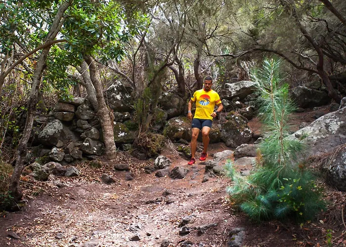 Apartmán Coral Silos - Your Natural Choice Los Silos