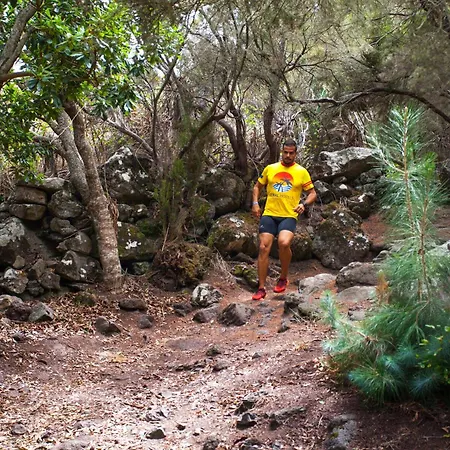 Daire Coral Silos - Your Natural Choice Los Silos