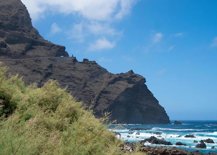 Coral Silos - Your Natural Choice Daire *