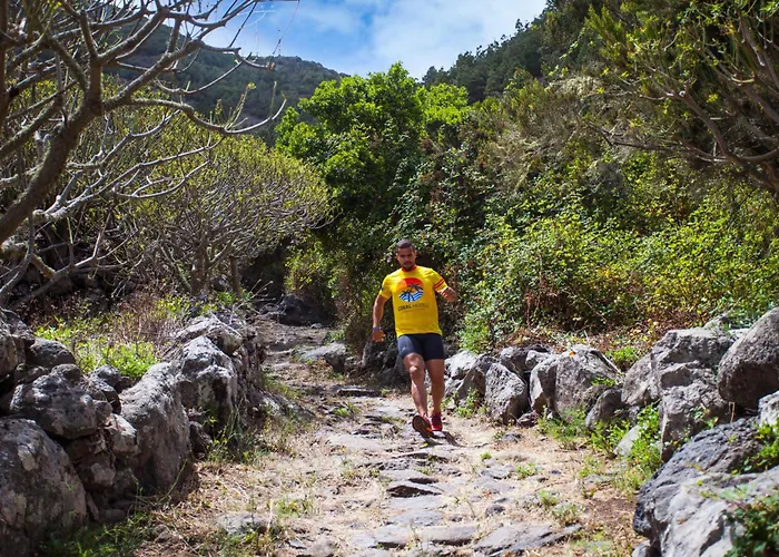 Coral Silos - Your Natural Choice Daire Los Silos